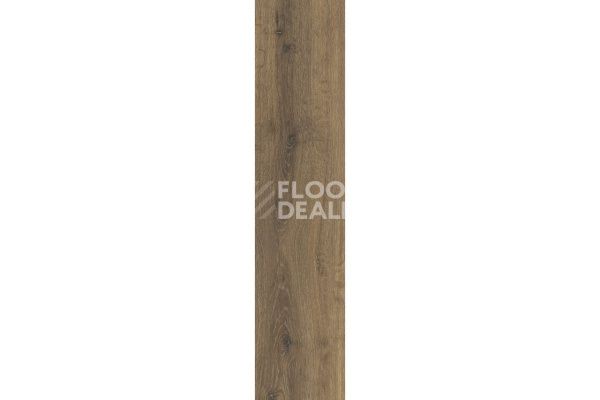 Виниловая плитка ПВХ LayRed планка дерево Brio Oak 22877 фото 1 | FLOORDEALER